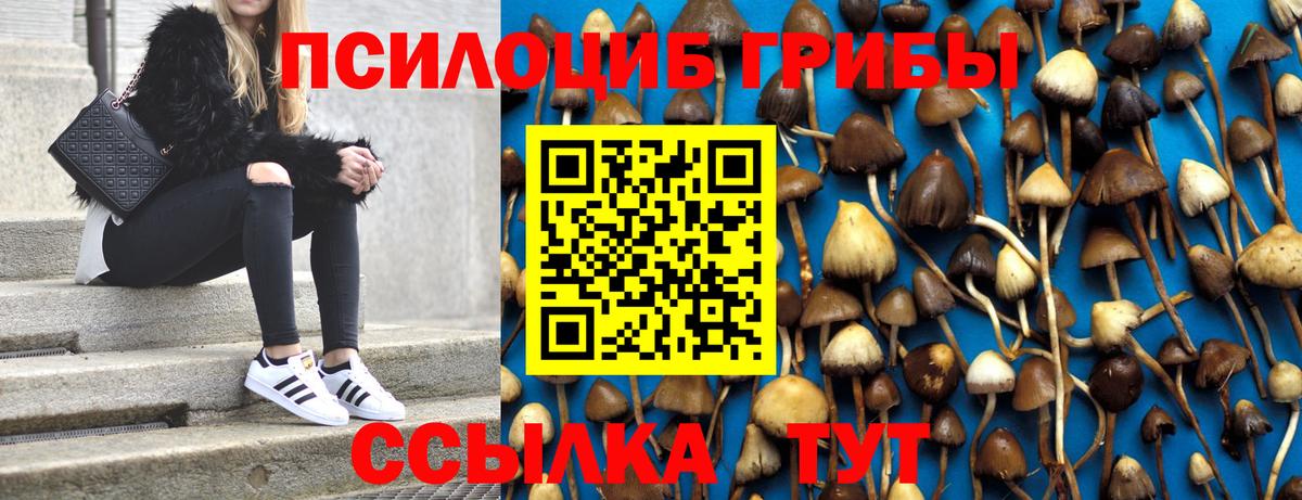 Галлюциногенные грибы GOLDEN TEACHER  Вход с VPN  купить наркотики сайты  Малгобек 